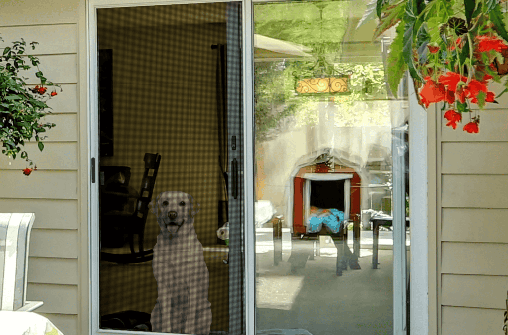 picture of a pet-friendly security screen door.